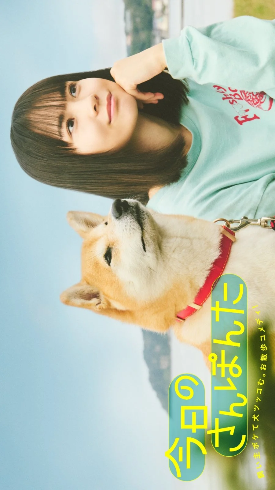 Сегодняшняя прогулка с Понтой - главный постер